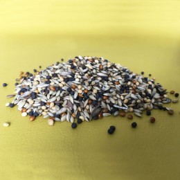 Зерновой корм для муравьев-жнецов